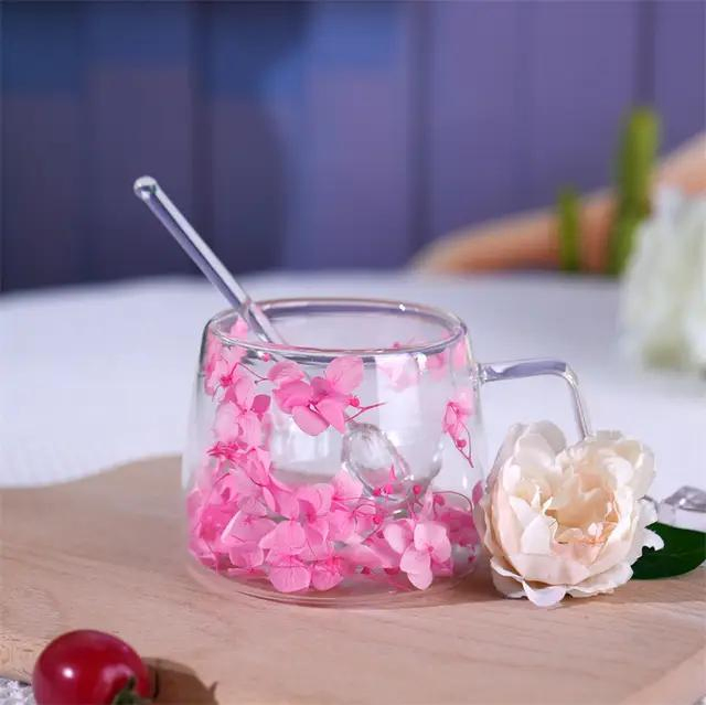 Borosilicate Double Walled Glass Coffee Everlasting Flower Handles Heat-Resistant