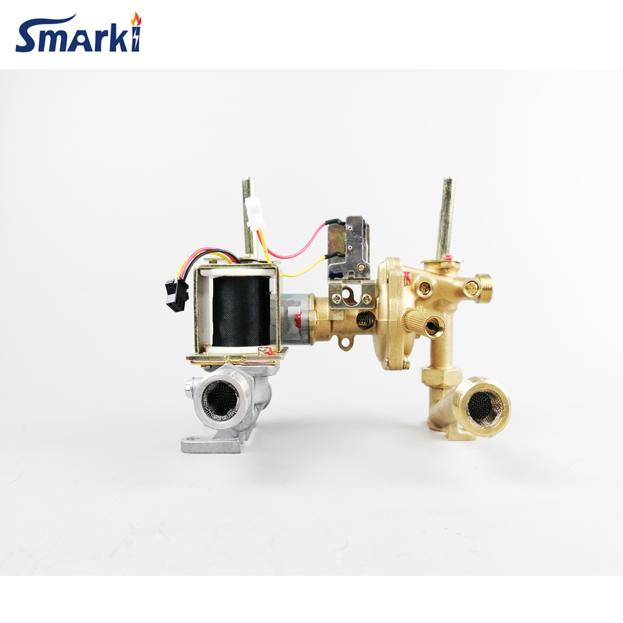 All Kinds of Gas Water Heater Zero or Normal Pressure Valve Parts