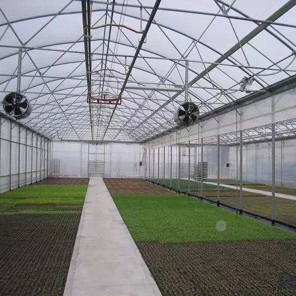 PE Po Agriculture Greenhouse for Vegetables fruit