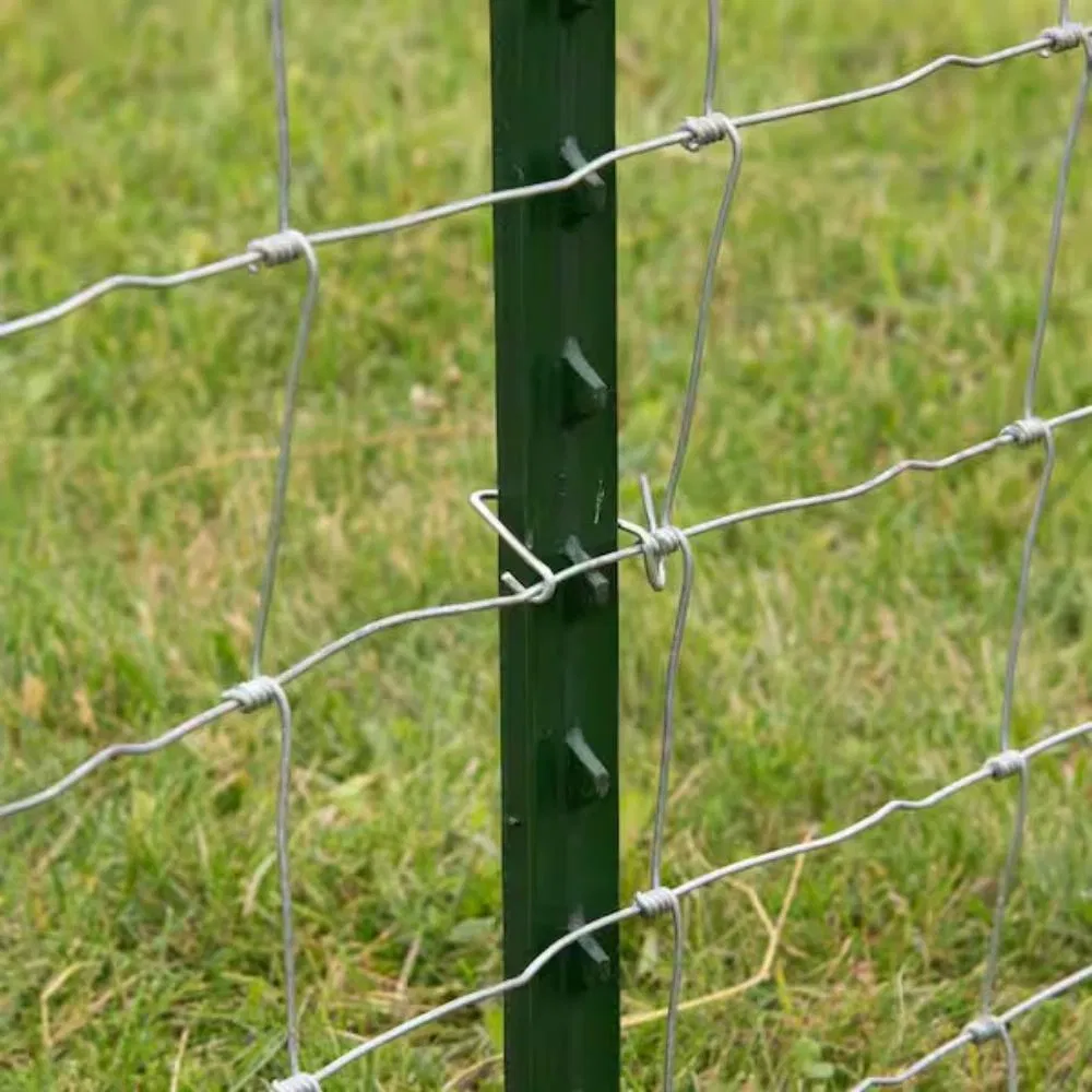Easy Installed 1.25 Lb T Studded Post Use for Cattle Fence