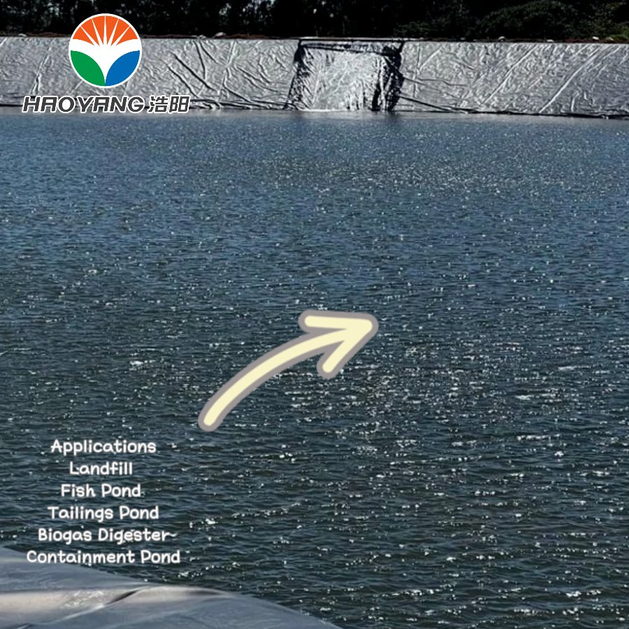 Geomembrane Price 2mm HDPE Plastic Pond Liner Fish Tank Waterproof Liner
