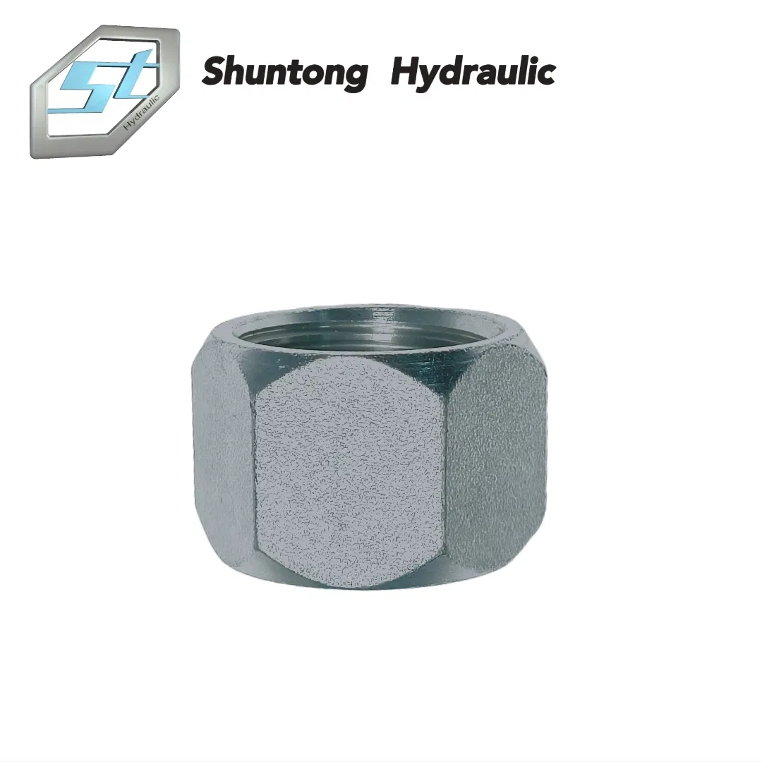 Hydraulic Ferrule for SAE 100r2at or En 2sn Hose (00210)