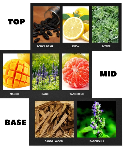 Мужской парфюм Infinity Wooden Fougere, 100 мл