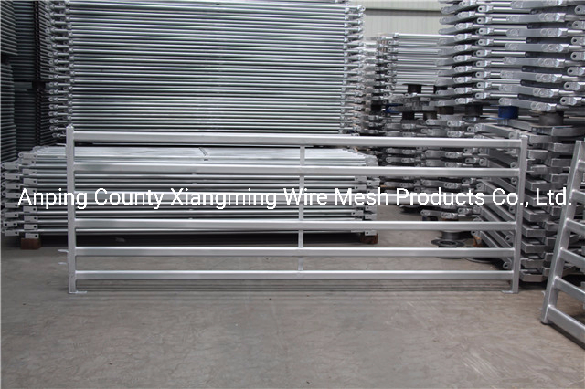 Farm Sheep Yard Sheep Fence