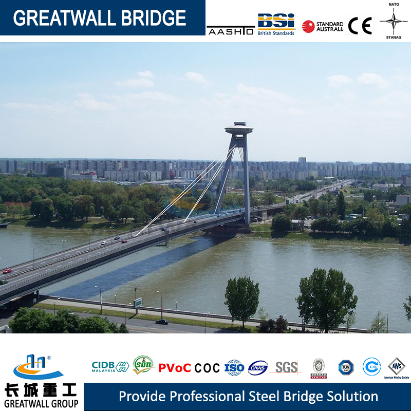 Customizable Hot Selling Prefabricated Steel Suspension Bridge Spot with Heavy Loading