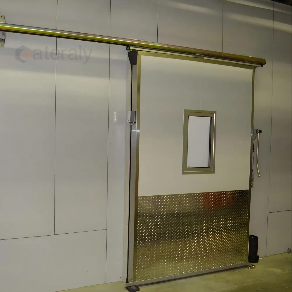 Weather-Resistant Cold Room Door with Customizable Features Available