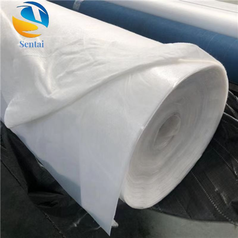 High Standard Long Filament Composite Geomembrane and Slag Two Cloth One Membrane Geomembrane for Reservoir Landscape Lake and River Management