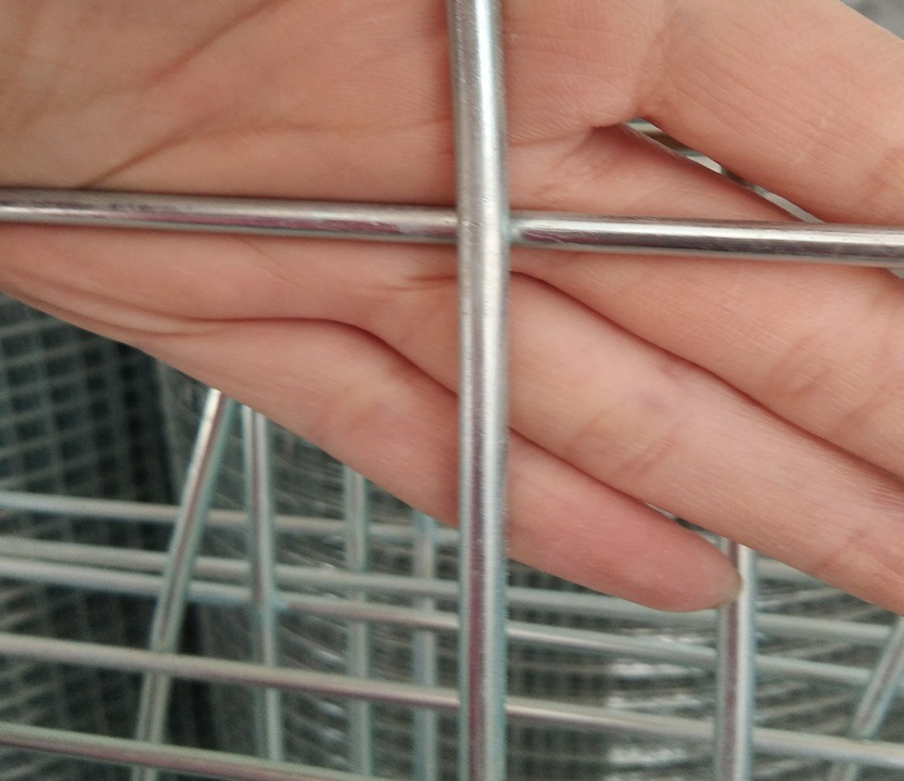 1.6mm 1 Inch Galvanized Welded Wire Mesh 30m Roll