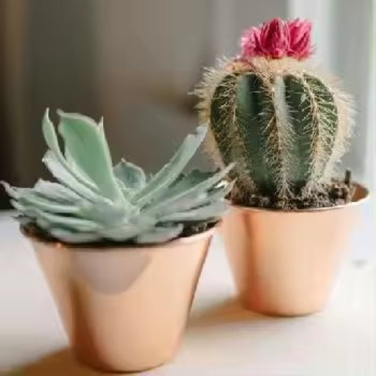 Набор горшков садовых для растений