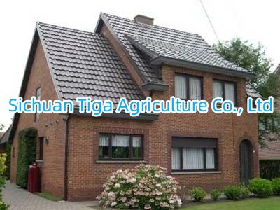 Fast Installation Steel Frame Structure Prefab Steel Villa for Apartment/ Hotel