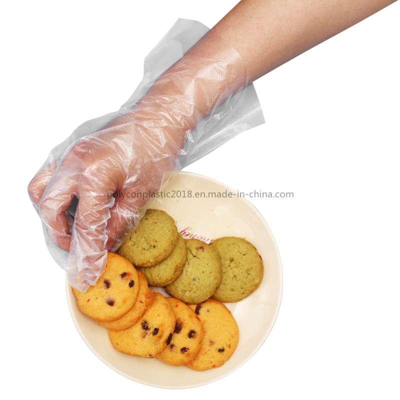 Transparent Clear PE Glove Disposable Food BBQ Glove Factory Price