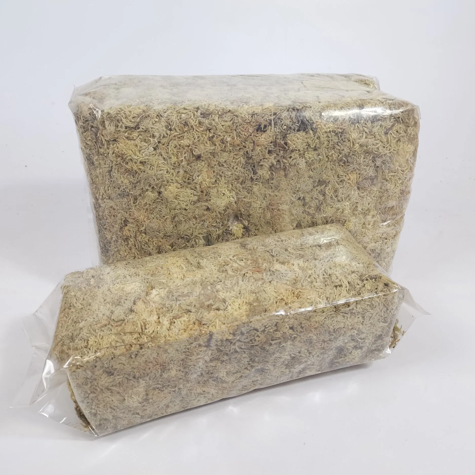 OEM Custom Wholesale 6A Grade 6L 12L 100g 200g 500g 1kg 5kg Sphagnum Moss for Orchid Plants & Reptile Pets