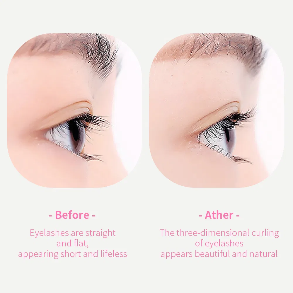 New Design Wholesale Professional Carbon Stainless Steel Makeup Wide-Angle Sun Flower Eyelash Curler