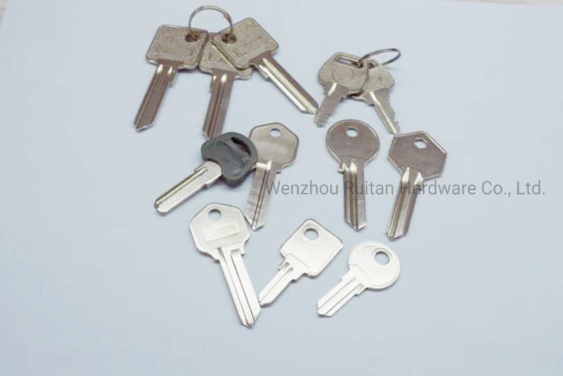 Customized High Quality Brass Key for Door