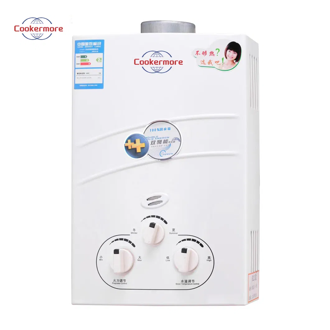 Customized Hot Sale New Design Smart Instantaneous 13L 14L 15L 16L 18L 20L Calentador De Agua Gas Geyser Gas Water Heater