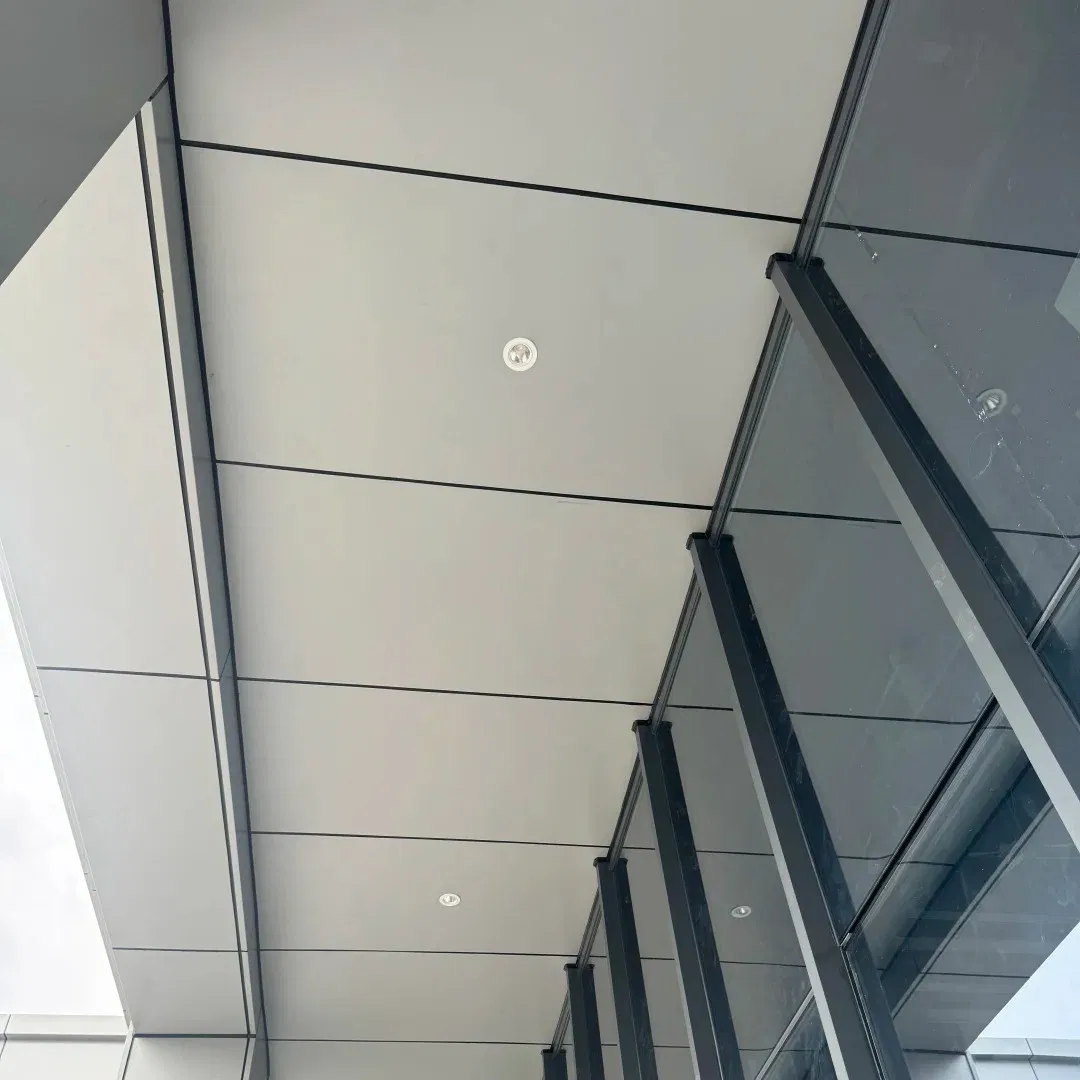 Unique Customized Aluminum Ceiling - Choose Between Plain and Perforated