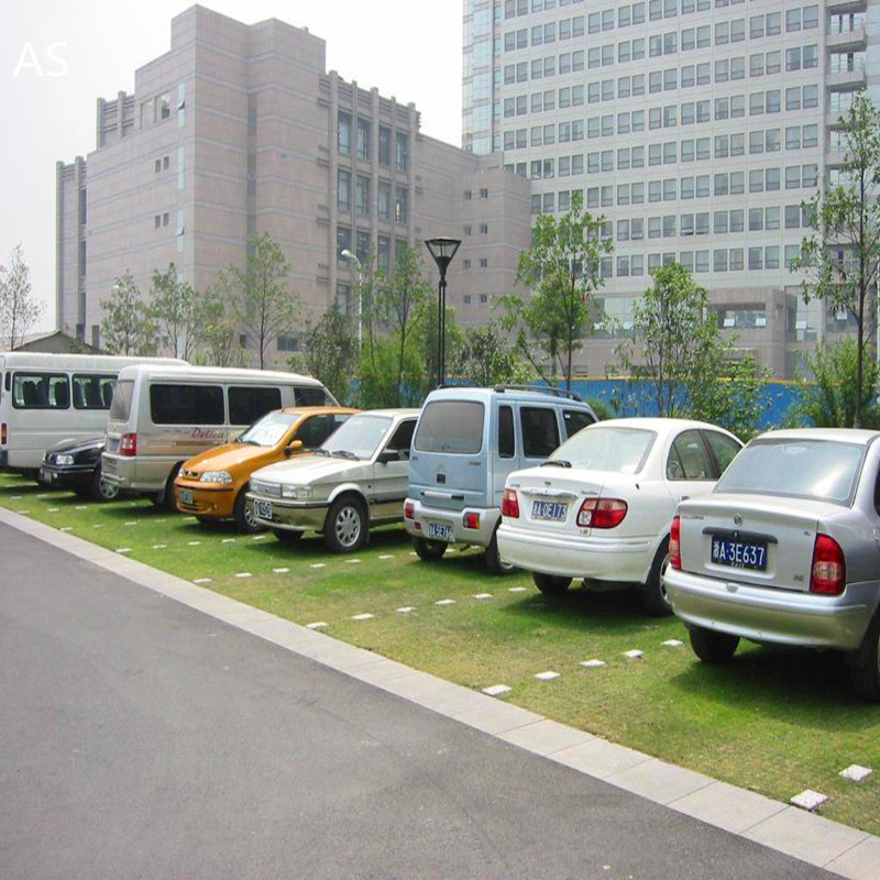 Plastic Grid for Paver Grass for Gardening