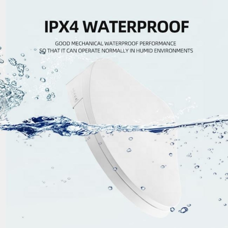 Wholesale Smart Automatic Universal Toilet Seat Flushing Bidet Toilet Seat