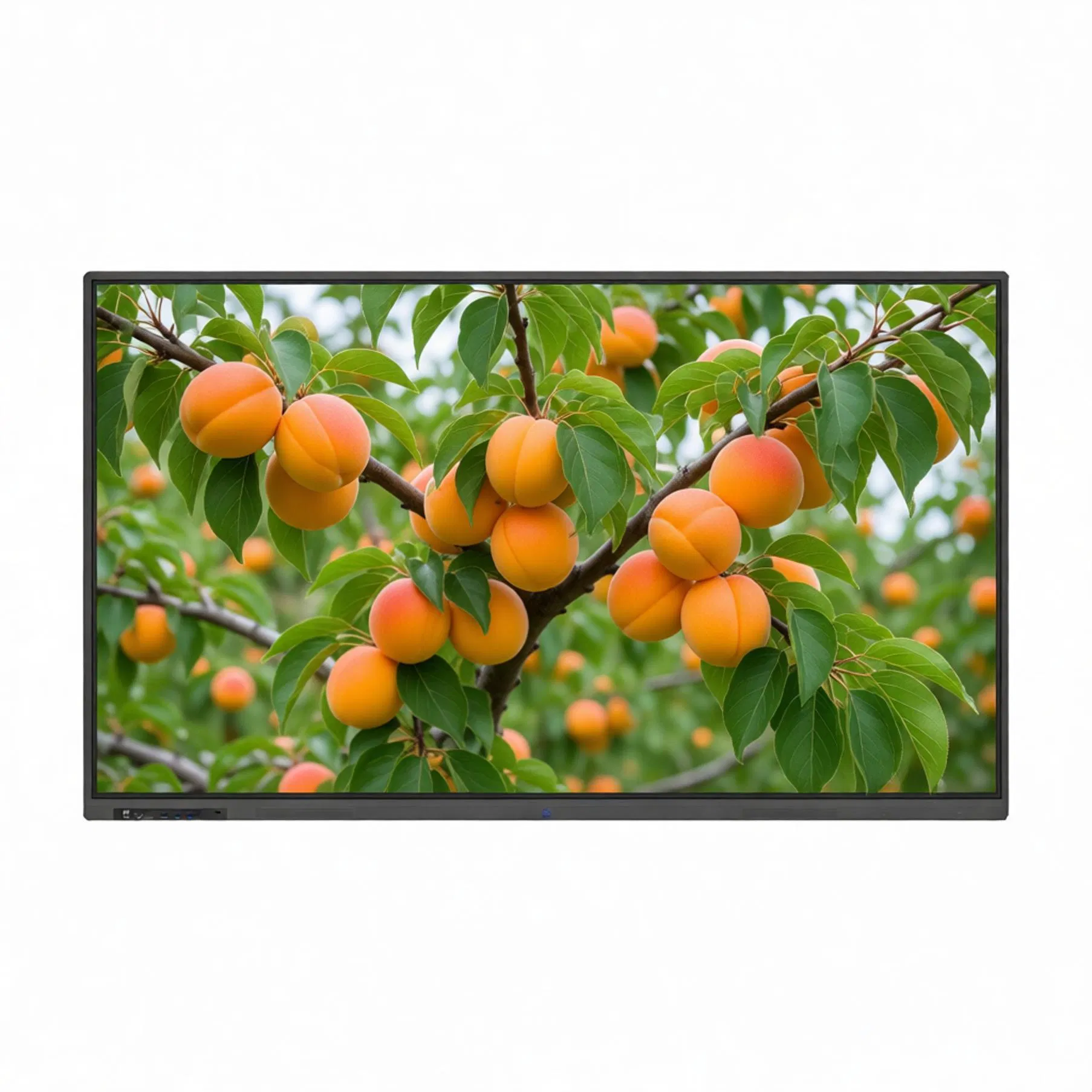 Digital Teaching Board with Large Display Vibrant Color Accuracy Interactive Whiteboard