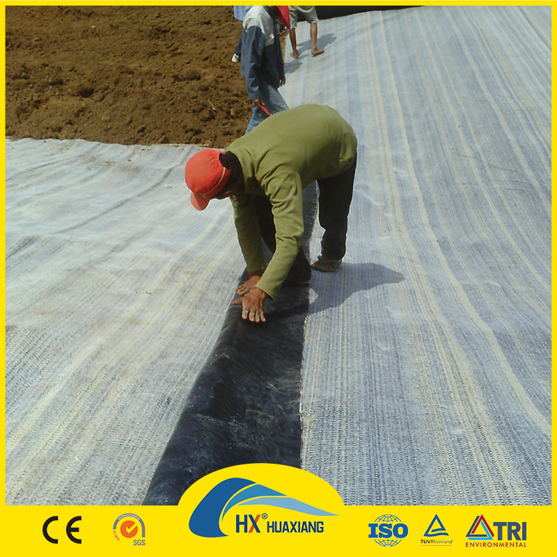 Geosynthetics Clay Liner Gcl Bentonite Geotextile 5000g Per Square Meter for Constructions Aiti-Seepage Project