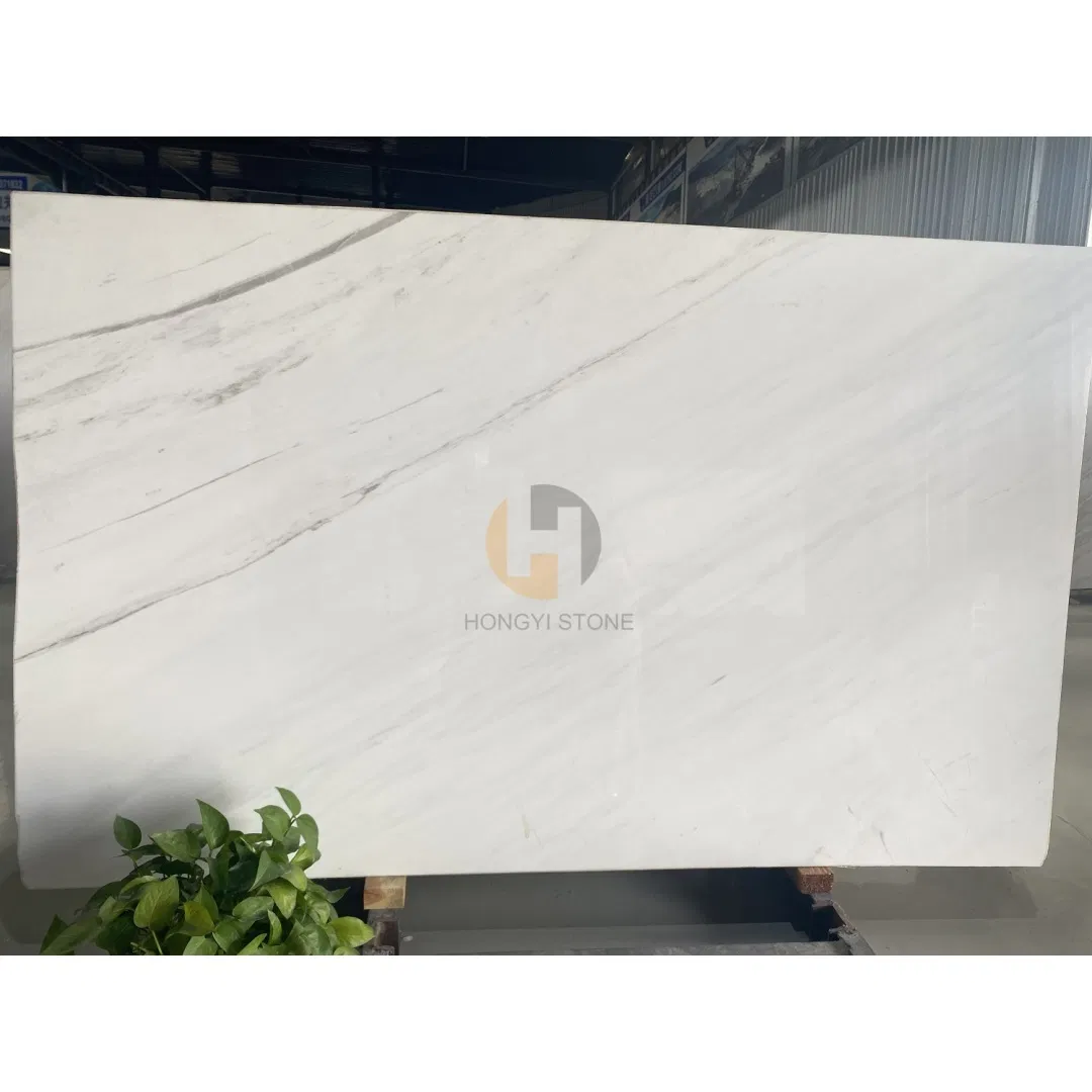 Ariston White Luxury Marble Wall and Floors