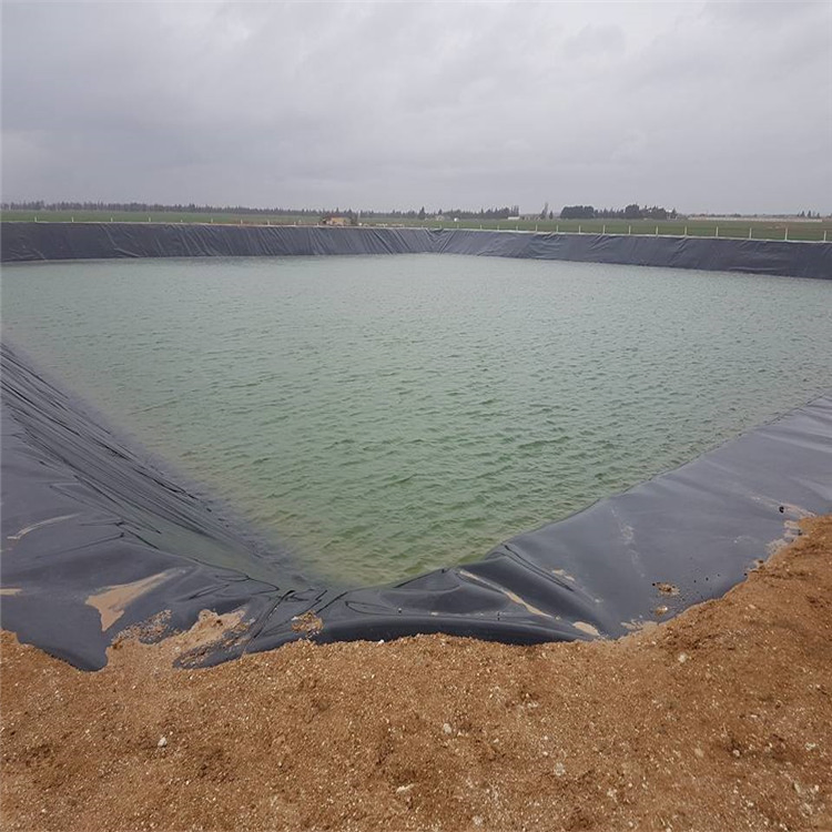 HDPE Geomembrane Pond Liner for Fish Farm or Shrimp