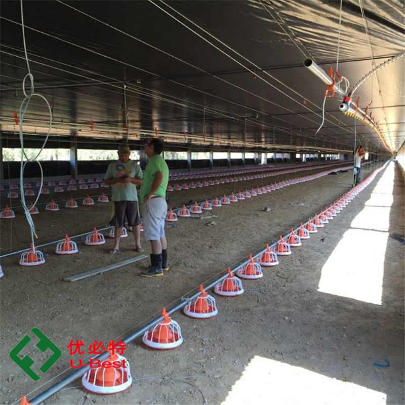 Automatic Chicken Feeding Drinking Equipment for Chicken Farm