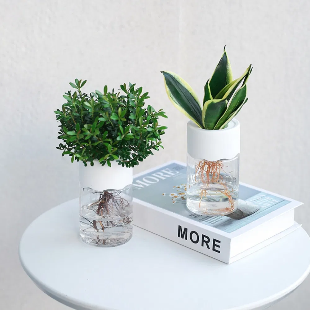 Self Watering Planters Pots 6 Inch Plant Pots, Modern Ci24864