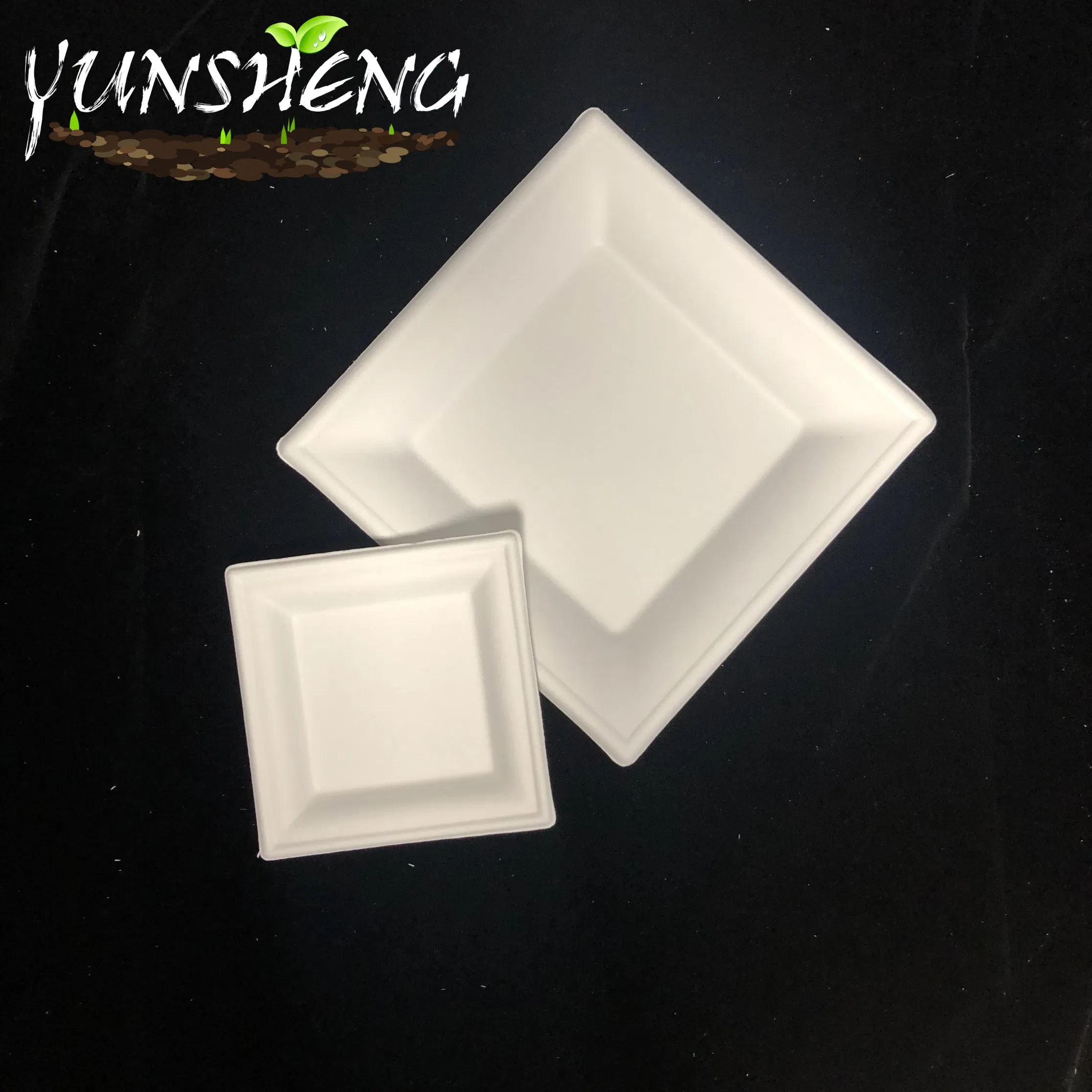 Disposable Manufactural Bagasse Pulp or Bamboo Fiber Paper Customized Square Plate for Delicious Cooking