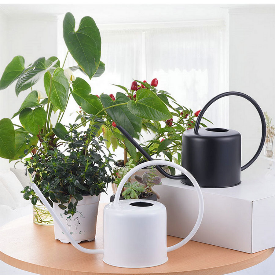 Long Narrow Mouth Spout Warering Can