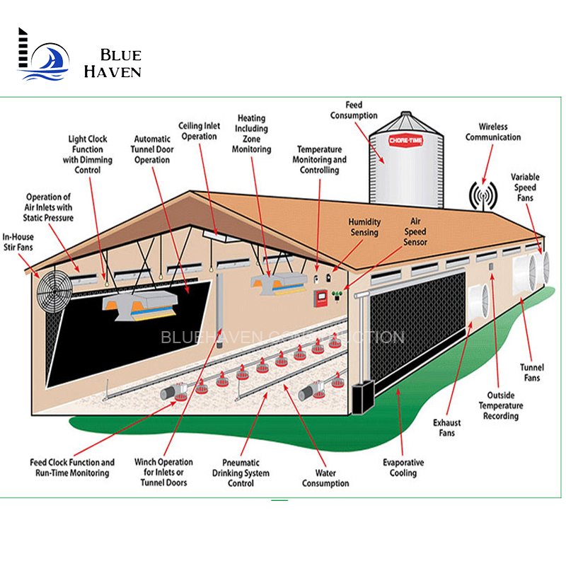 Prefab Chicken Farm Building and Automatic Controlled Poultry Farm Shed