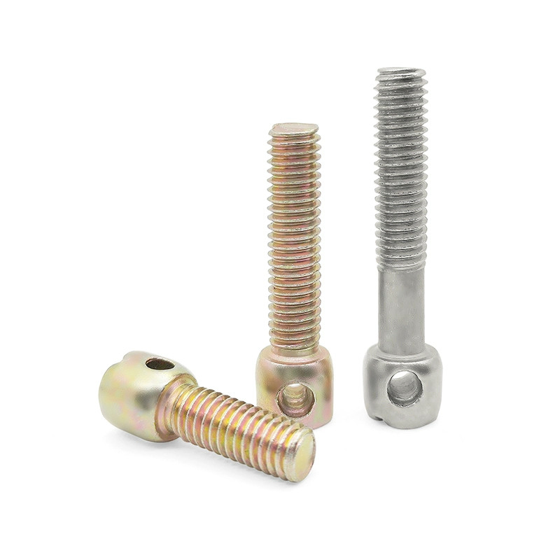 DIN 404 M3m4m5m6 Stainless Steel Slotted Capstan Captive Screws for Electricity Meter Box