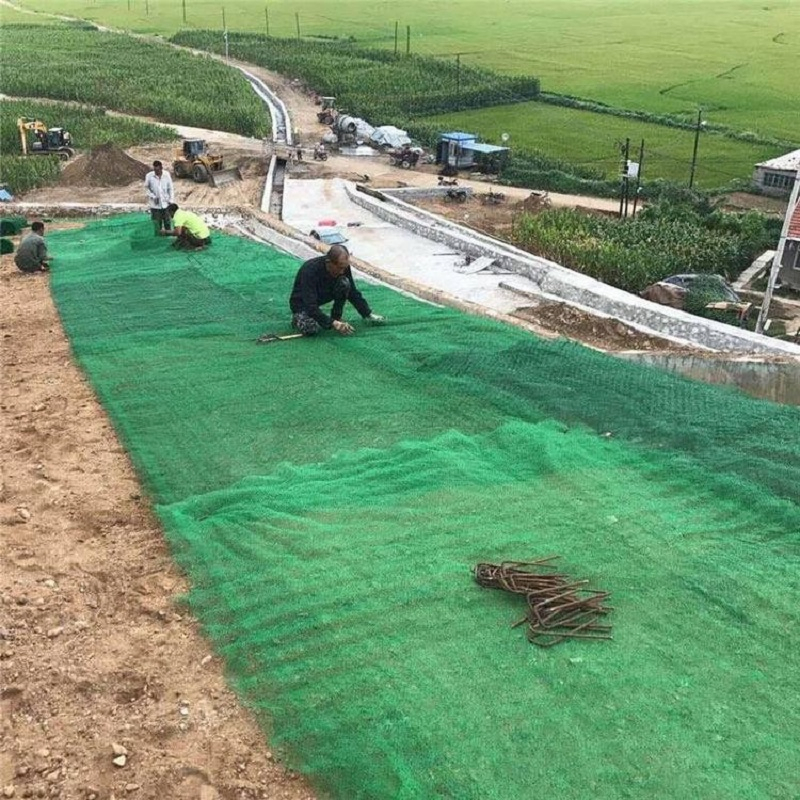 2. China Supplier Geomat 3D Composite Protecting Layer for Erosion Control