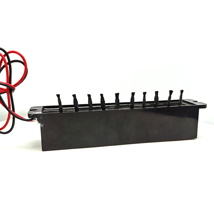 High Ion Density 10 Carbon Brush Output Negative Ion Generator