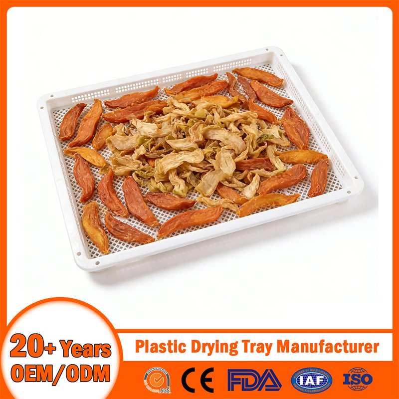 China Plastic Drying Tray Manufacturer Stackable/Nestable/Perforated/Mesh/Solid Bottom Plastic Cooling/Freezing/Dried Tray for Seafood/Fruit Aquaculture/Herbal