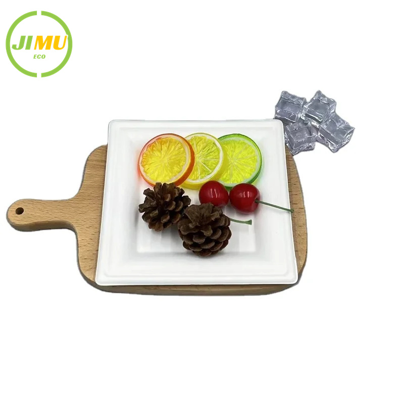 100% Natural Bagasse Pulp Biodegradable Disposable 6 Inch Square Dish Salad Plate
