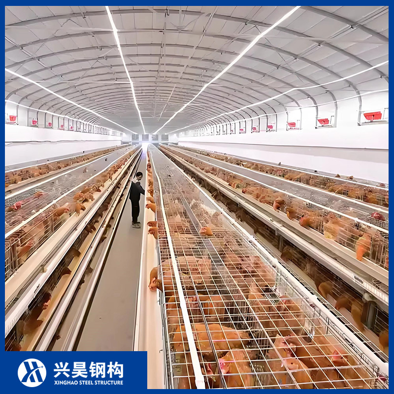 Lightweight High-Strength Beam Prefab Metal Storage Farming Equipment Steel Structure Sheep/Goat/Pig/Hog/Cattle/Cow/Poultry House/Shed