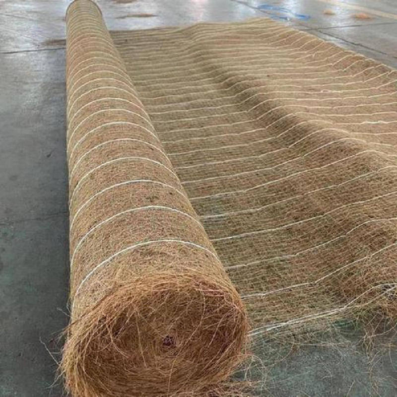 Good Price Coir Mats Erosion Control Blanket Coconut Fiber Mat