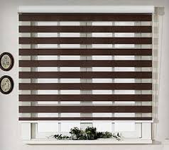 The Versatile Charm of Zebra Window Blinds