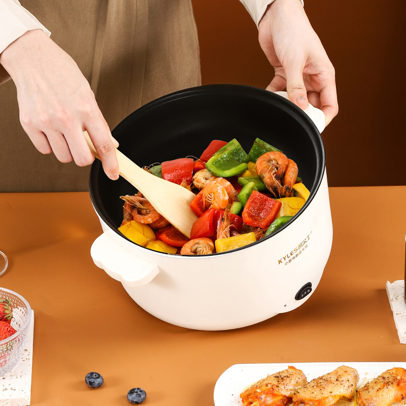 Kaiershi Jj-26f The Best All in One Food Electric Cooker with Glass Lid