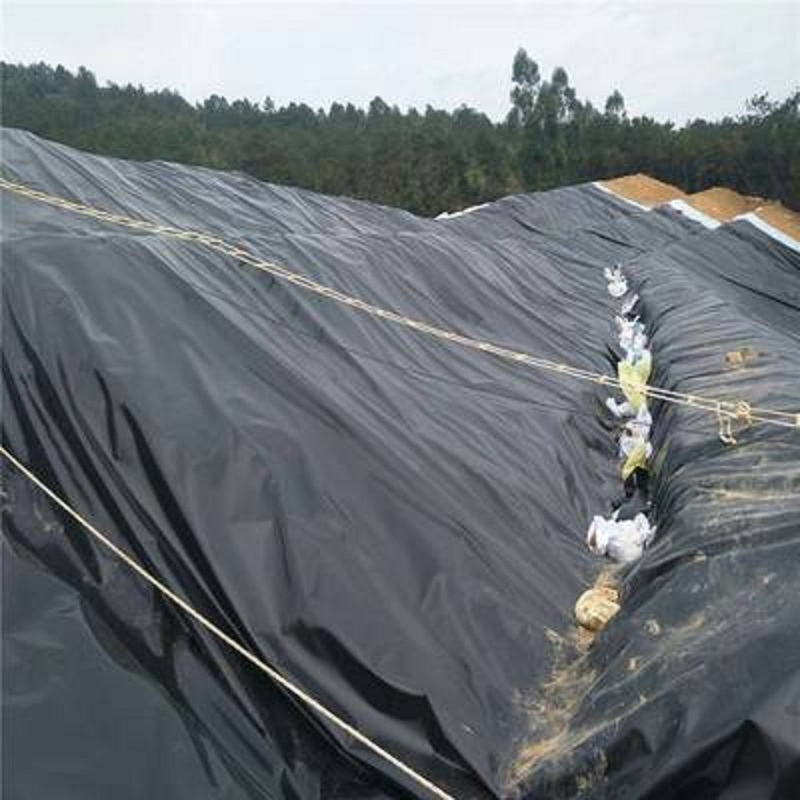 High-Quality LDPE Geomembrane for Durable Water Containment Solutions