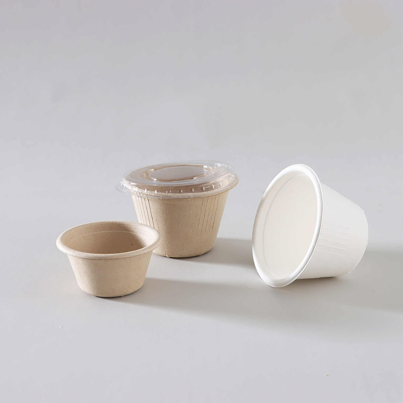 Biodegradable Takeaway Disposable Sauce Cup Food Container
