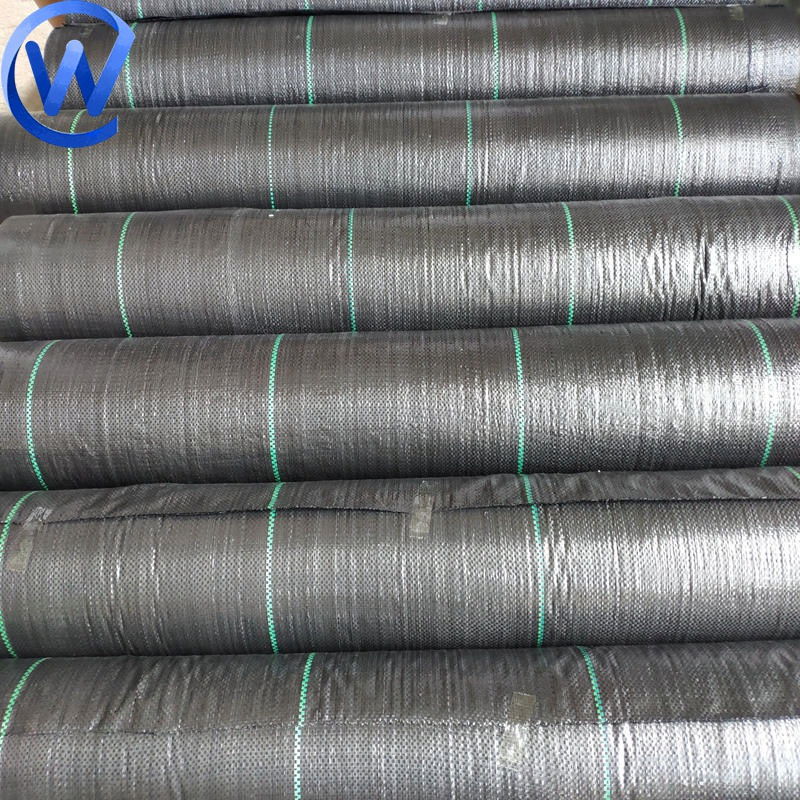 PP Polypropylene Woven Anti Grass Cloth Cover Fabrics for Grape Farm