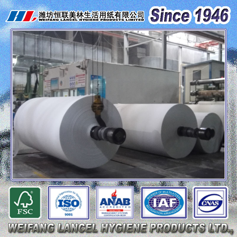 China Virgin Wood Pulp Mother Roll for Toilet Tissue/Napkin Tissue/Towel Tissue