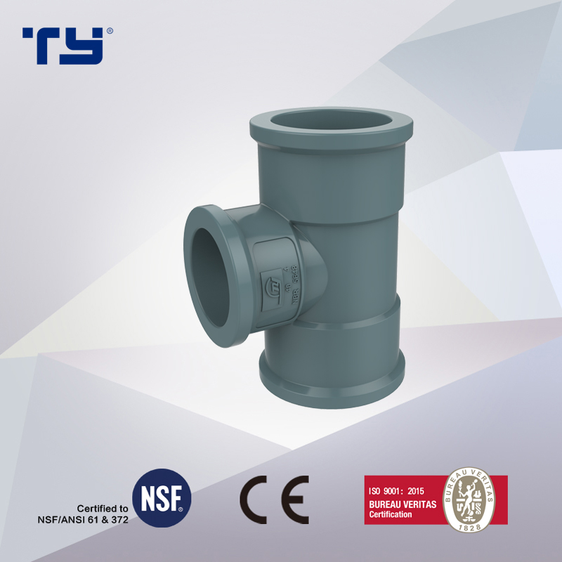 Back Nut of PVC Water Supply Pressure Pipe Fitting DIN Standard NBR5648