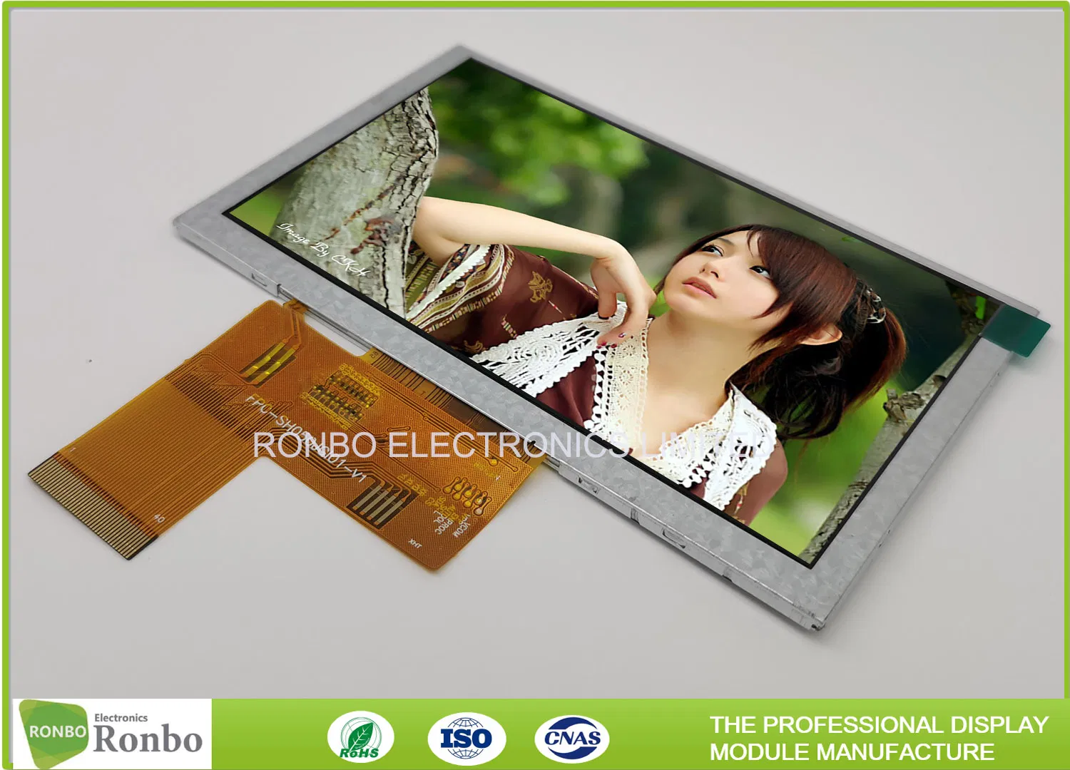 High Quality 5.0 Inch 800X480 Landscape Type IPS Industrial LCD Display Option Touch Screen