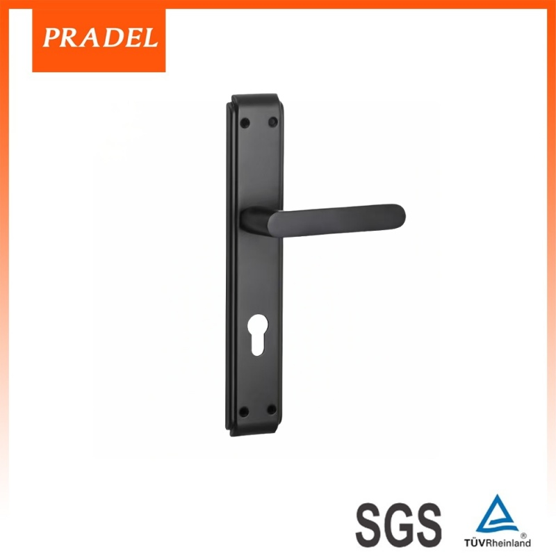 Premium Stainless Steel Exterior Door Handle with Lock Plate
