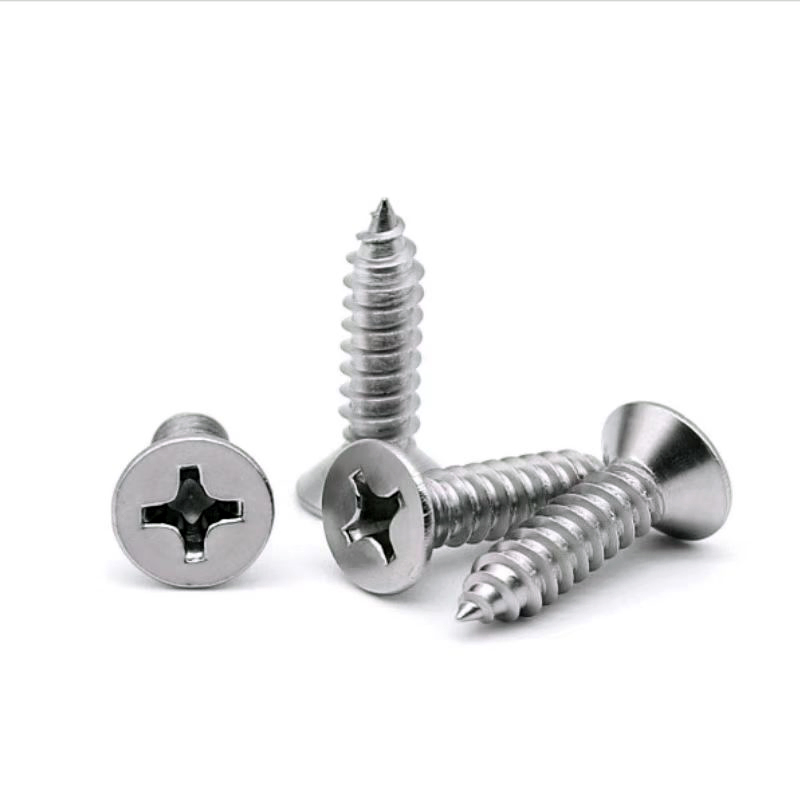 304/316 Stainless Steel Csk Type-a Type-Ab Screw for Sheet Metal Plastic Fiberglass