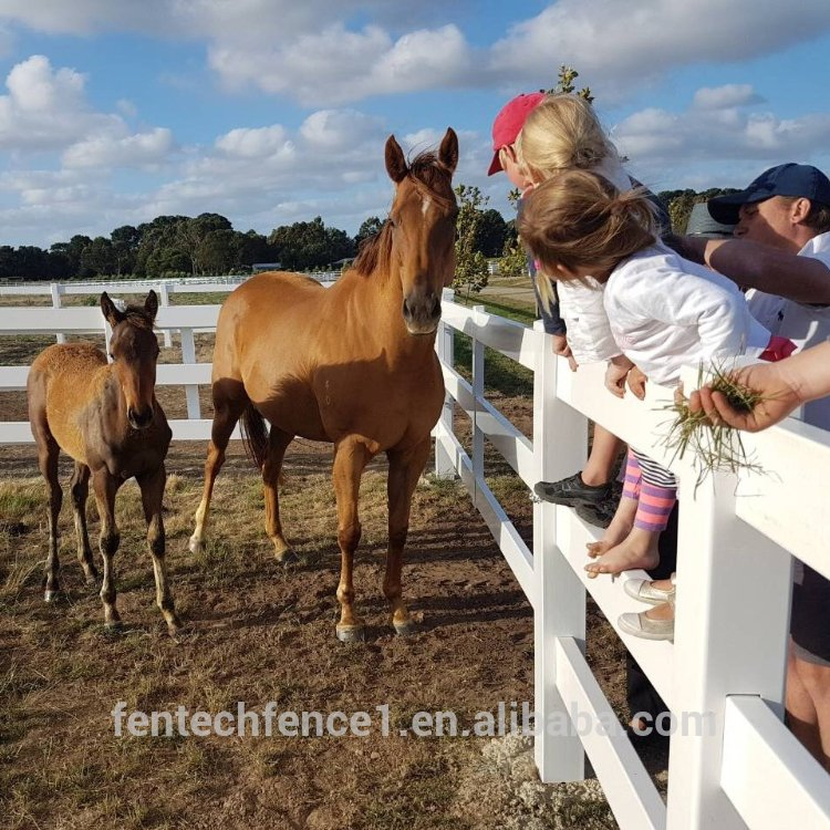 Vinyl PVC Post and Rail Fence, PVC Farm Horse Fence for Paddock