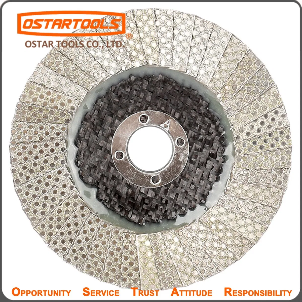 Dfd100030f Net Pattern Diamond Flap Disc with Fiberglass Base